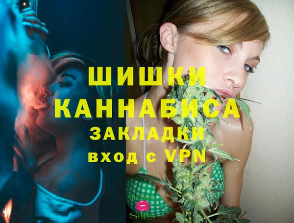 МДПВ Алзамай
