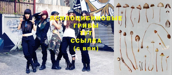 МДПВ Алзамай