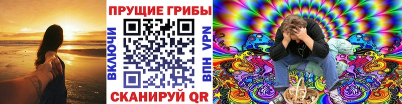 Псилоцибиновые грибы Psilocybine cubensis  Чёрмоз 